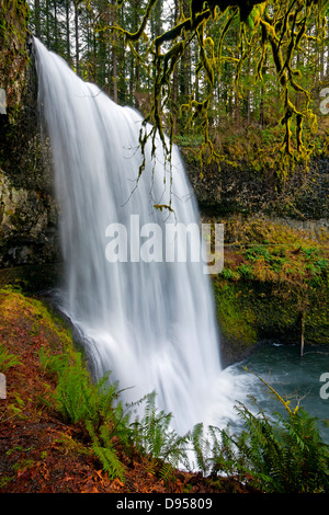 OREGON - Lower South Falls auf South Fork des Silver Creek in Silver Falls State Park aus die Trail von zehn Falls. Stockfoto