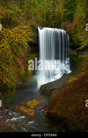 OREGON - nahen Norden fällt auf die Spur von zehn Falls durch den Cascade Mountains Ausläufer in Silver Falls State Park. Stockfoto