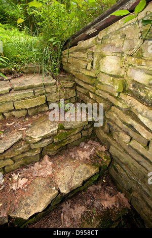 Treppe zum Root-Keller in Bauernhaus in Paint Creek State Park, Ohio. Stockfoto
