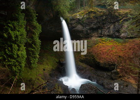 OR01071-00... OREGON - Norden fällt auf die Spur von zehn Falls durch den Cascade Mountains Ausläufer in Silver Falls State Park. Stockfoto