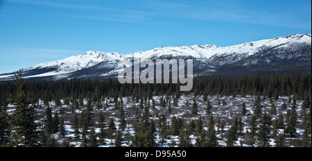 Alaskas Denali National Park Stockfoto