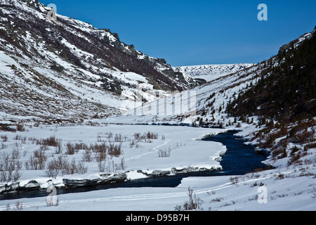 Denali National Park Savage River Stockfoto