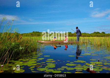 Touristen wird gestakt, obwohl Lily pads im Mokoro (Einbaum), Okavango Delta, Botswana, Afrika Stockfoto