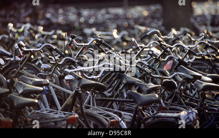 Fahrrad-Parken am Hauptbahnhof. Amsterdam, Niederlande. Stockfoto