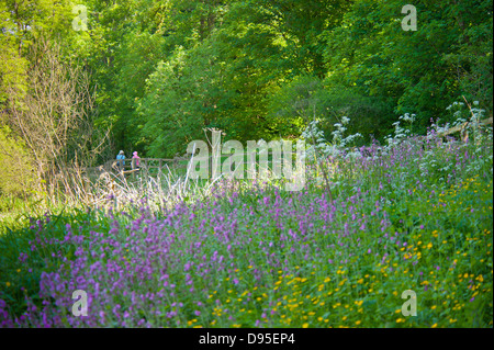 Die Dingle Llangefni Anglesey North Wales Großbritannien; Stockfoto