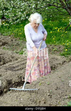 Die alte Frau arbeitet in einem blühenden Garten Stockfoto