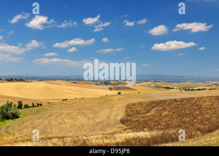 Toskana im Sommer Monteroni d ' Arbia, Provinz Siena, Toskana, Italien Stockfoto