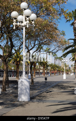 Von Bäumen gesäumten Promenade entlang der Küste durch den Hafen von Barcelona. Katalonien. Spanien Stockfoto