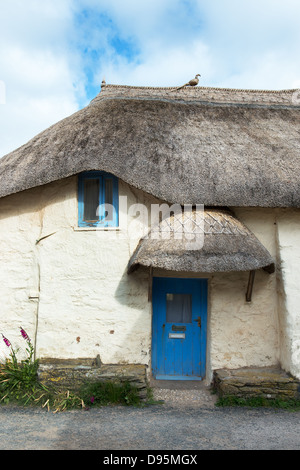 Strohgedeckten Cob Hütte. Devon, England Stockfoto