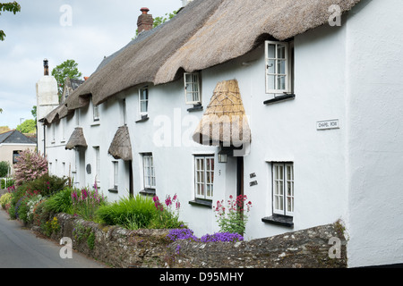 Reihe der strohgedeckten Hütten in der Kapelle. Kingston, Devon, England Stockfoto