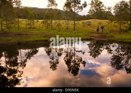 Familiengruppe genießen Sie einen Spaziergang am frühen Abend von einem Teich umgeben von Bäumen, Australien, New South Wales Stockfoto