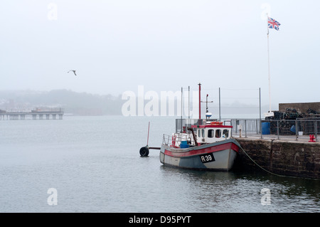 Angelboot/Fischerboot in Paignton Hafen, Angelboote/Fischerboote Paignton Hafen, Boot, Angeln, Meer, Schiff, Trawler, klein, Ozeanblau, w Stockfoto