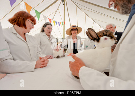 Schauspielerin Penelope Keith President von den den Süden von England Agrargesellschaft Touren 2013 südlich von England zeigen. Stockfoto