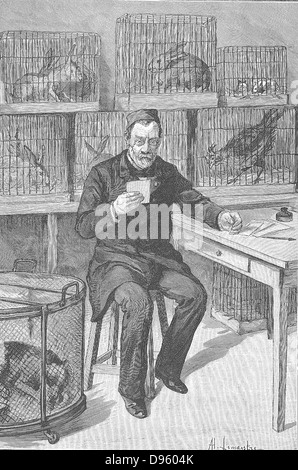 Louis Pasteur (1822-1895), französischer Chemiker, in seinem Labor an der Ecole Normale Supérieure, Paris, während seiner Arbeit an Tollwut. Um ihn herum sind ein Käfig voll der Tiere, die er während seiner Experimente verwendet. Von "Le Journal de La Jeunesse", Paris, 1893. Stockfoto