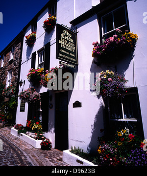 Blumenschau außerhalb eines typischen Frühstückspension (namens Chy Lelan) in den Badeort St. Ives in Cornwall, England, Großbritannien. Stockfoto