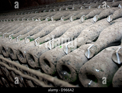 Stapel von Weinflaschen im Weingut. Champagner, Wein-Lagerung Stockfoto