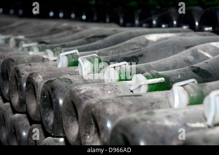 Stapel von Weinflaschen im Weingut. Champagner, Wein-Lagerung Stockfoto