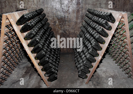 Stapel von Weinflaschen im Weingut Stockfoto