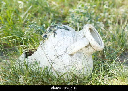 Antike Kanne mit Blumen auf dem grünen Rasen Stockfoto