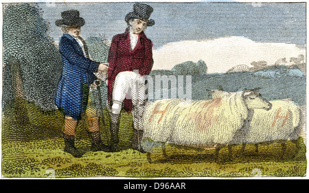 Die Landwirte diskutieren Neue Dishley (Leicester) Schafe. Rasse durch selektive Zucht durchgeführt von Robert Bakewell (1725-1795) auf der Farm in Dishley, Leicestershire. Gravur London 1822 Stockfoto