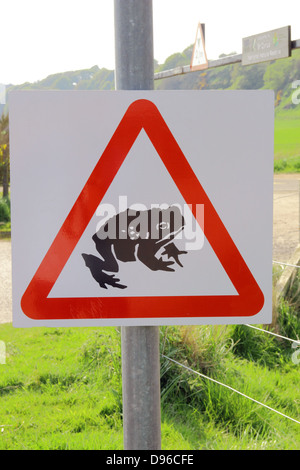 Kröte Crossing Road Warning Sign, UK Stockfoto