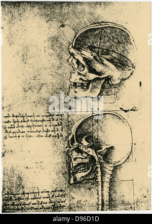 Leonardo da Vinci (1452-1519), italienischer Maler, Bildhauer, Ingenieur, Architekt. Anatomische Zeichnungen eines Schädels im Profil mit Schädel entfernt. Stockfoto