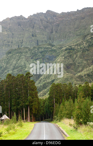 Straße durch den Wald bei BHS Sec in den Cirque de Cilaos Caldera auf der französischen Insel La Réunion im Indischen Ozean. Stockfoto