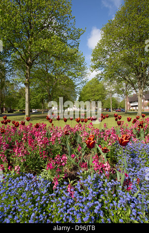 Dorf Port Sunlight, England. Anfang Sommer Blick auf die Blumen in voller Blüte innerhalb der causeway Garten Blumenrabatten. Stockfoto