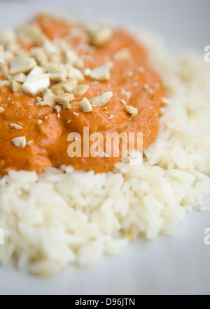 Hausgemachte Garnelen Makhani mit Reis und gehackte Cashew-Nüssen. Stockfoto