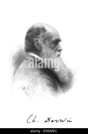 Englische Naturforscher Charles Darwin (1809-1882). Ein Pionier der Theorie der Evolution durch natürliche Selektion. Gravur und Unterschrift Stockfoto