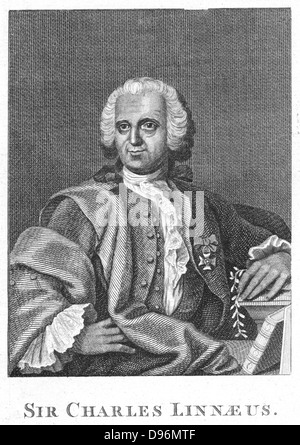 Carl von Linné (Carl von Linne - 1707-1778) schwedischen Naturforscher, hält einen Zweig von Linnea Borealis. Gravur Stockfoto