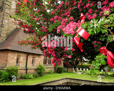 Die berühmten Dornenbaum Appleton Thorn Village, gekleidet in Warrington, England für die jährliche Juni "Bawming der Dorn" Stockfoto