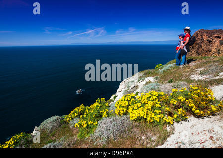 Giant Coreopsis und Wanderer am Punkt der Höhle, Insel Santa Cruz, Channel Islands Nationalpark, Kalifornien USA Stockfoto