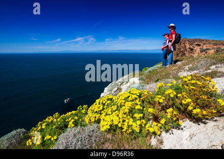 Giant Coreopsis und Wanderer am Punkt der Höhle, Insel Santa Cruz, Channel Islands Nationalpark, Kalifornien USA Stockfoto