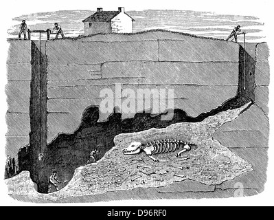 Schnittbild der Traum Mine, in der Nähe der Wirksworth, Derbyshire, die Funktionsweise und die Position, in der das Skelett eines Nashorns entdeckt wurde. Holzstich 1881. Stockfoto