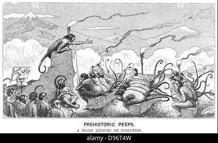 Prähistorische guckt: Affen, die Teilnahme an einem Abendvortrag. Cartoon über die Evolution von "Punch", London, 23. Juni 1894 Stockfoto