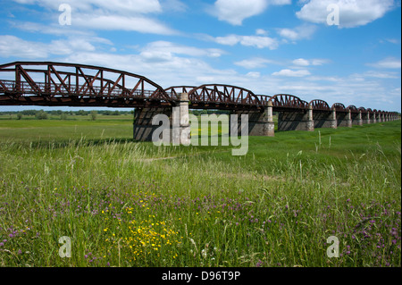 Alte Eisenbahnbrücke, Domitz, Niedersachsen, Deutschland, Mecklenburg-Vorpommern, Alte Eisenbahnbruecke, Elbbruecke Doemitz, Niede Stockfoto