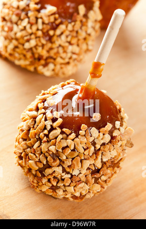 Hausgemachte Taffy Apple mit Erdnüssen gegen einen Hintergrund Stockfoto