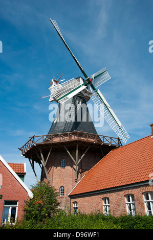 Mühle, Ditzum, Niedersachsen, Deutschland, Windmühle, Muehles, Ditzum, Niedersachsen, Deutschland, M³hle, Windm³hle, Windmuehle, Galeri Stockfoto