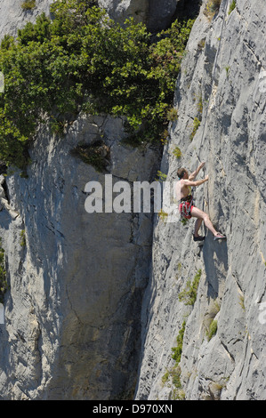 Klettern am Canyon des Flusses Verdon, regionalen Naturpark Verdon, Provence, Gorges du Verdon, Provence-Alpes-Cote-´, Azur Stockfoto