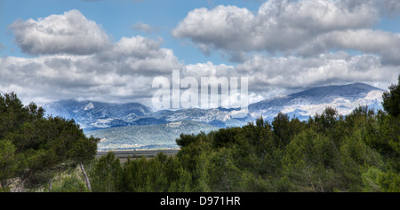 Spanische Landschaft am Parc Natural de s' Albufera de Mallorca Stockfoto