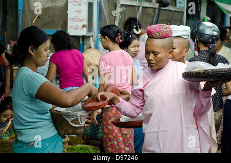 Nonnen, die betteln, Nyaung-U (Bagan), Markt, Burma Stockfoto