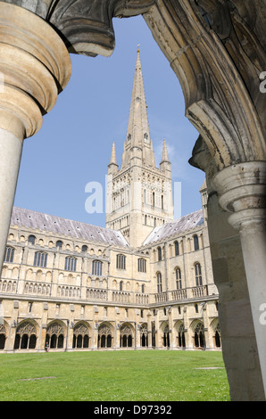 Norwich Kathedrale Norfolk England UK Stockfoto