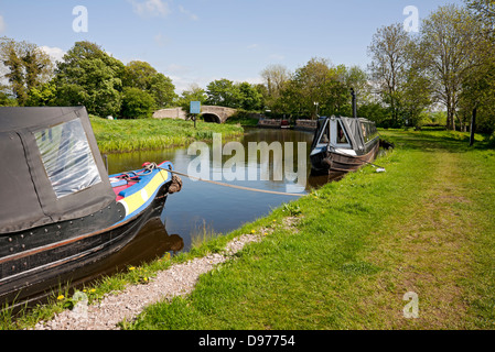 Schmalboote Schmalboote, die auf dem Lancaster Canal im Sommer auf dem Schleppweg Tewitfield Lancashire England Großbritannien Großbritannien Großbritannien Großbritannien Großbritannien Großbritannien Großbritannien Großbritannien Großbritannien Großbritannien Großbritannien Großbritannien Großbritannien und Nordirland liegen Stockfoto