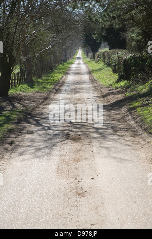 Langes, gerades, von Bäumen gesäumten Landstrasse, Sutton, Suffolk, England Stockfoto