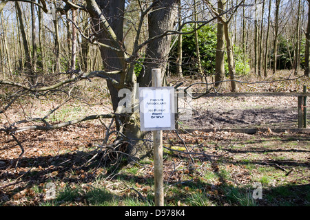 Melden Sie für privaten Wald mit keine öffentlichen Weg, Sutton, Suffolk, England Stockfoto