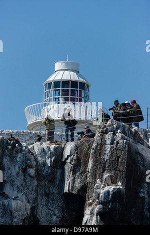 Vogelbeobachter und Fotografen Felsenvilla oben neben Inner Farne Leuchtturm Stockfoto