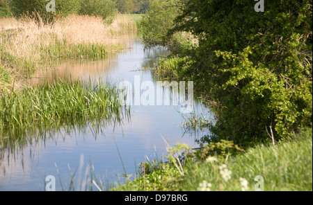 River Deben Mäander in der Flussaue, Rendlesham, Suffolk, England Stockfoto