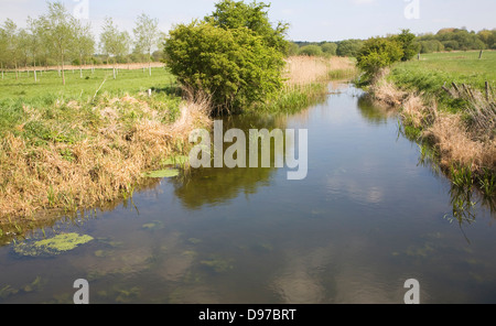 River Deben Mäander in der Flussaue, Rendlesham, Suffolk, England Stockfoto