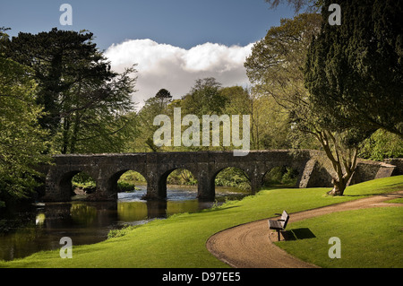 Antrim Castle Gardens, County Antrim, Nordirland, Vereinigtes Königreich Stockfoto